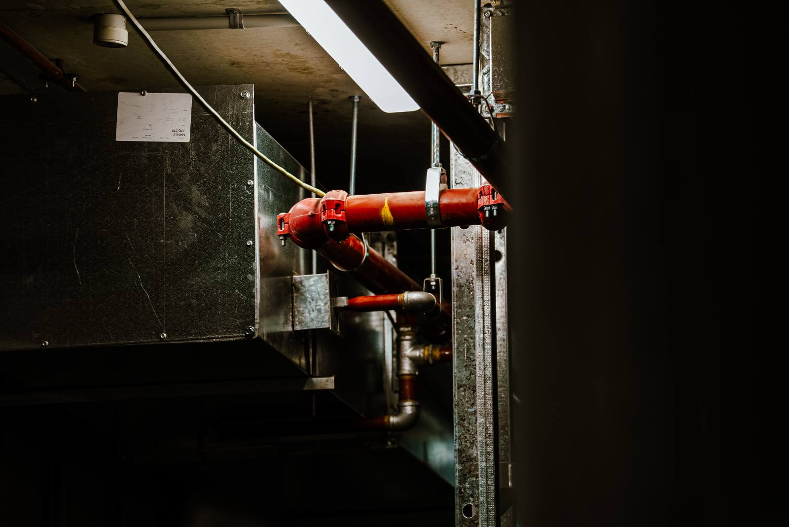 Red sprinkler pipework and plant services, Manly