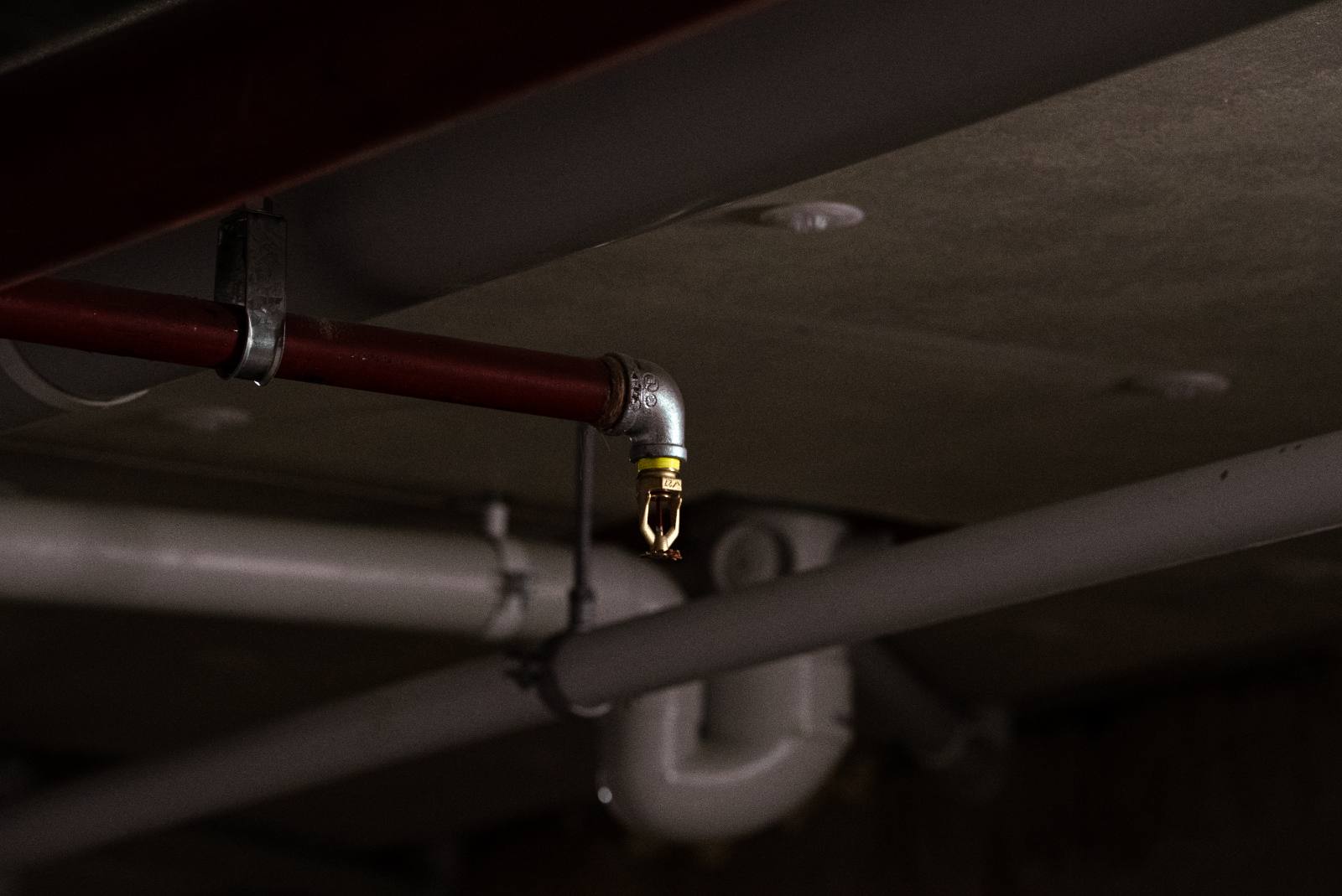 Sprinkler head on painted pipework, Manly